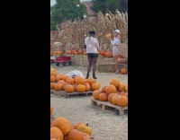 Woman in white long-sleeved crop top kisses pumpkin Part 1