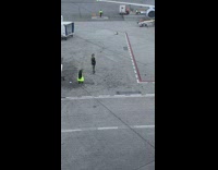 Woman flight attendant in reflective vest poses at the runway