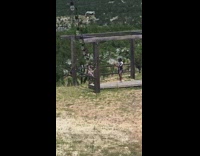 Girl black floral dress light string wood