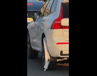 Collab WINY - Car drives toilet paper stuck on wheel