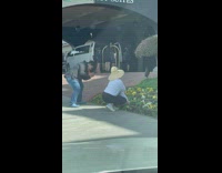 Woman straw hat sit near flowers embassy