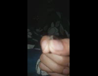 Live mosquito tries to escape from man