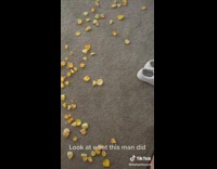 Woman comes home to a surprise prank 