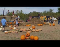 Woman in overall lie down on the haystack