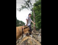 Collab ClipsIG - Man dancing while dog chews off tree trunk 