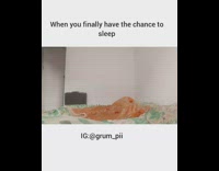 Collab BitchIG2 - Man runs to his bed after work 