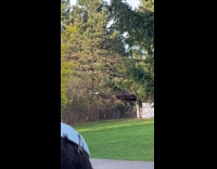 Two drones flying collided falls on ground