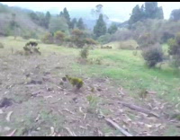 Collab scorpionmasters - Guy falls off green bicycle grass fail