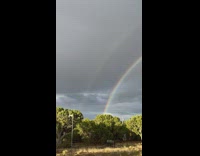 Double rainbow arch over trees woman react
