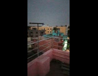 Bird chirps on the rooftop at sundown