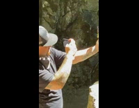 Black shirt guy photographs bong tattoo waterfall 