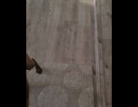 Large brown dog barks howls guy walk