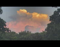 Collab DailyDoseOfInternet - Thick orange clouds with thunder sunset trees