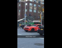 Blue jacket guy rides skateboard roof covering