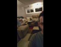 Two dog play behind guy brown couch