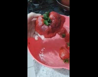 Large strawberry floats on the pink bowl