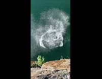 Collab BoysIG- Coolest mom ever jumps cliff green lake