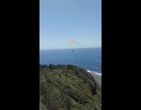 Man parasails at the beach crashes into bush on a cliff