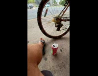 Hornet fly up close slow motion bike