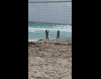 Man Voice Overs Two Ladies at Beach