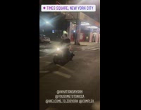 Panda costume person rides blue scooter night 