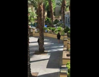 Black cover up girl walks palm trees 