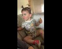 Dog steals baby food in hand on couch 