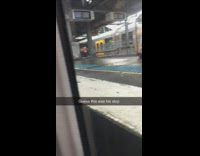 Pigeon climbs up stairs and exits metro train at its stop