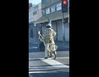 Man green checkered polo shirt rides bicycle