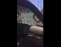 Cookies bake on car dashboard