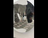 Circular round mirror turns grey opaque girl 