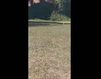 Guy black top dance video park bat