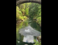 Blue shorts guy backflip grey bridge water