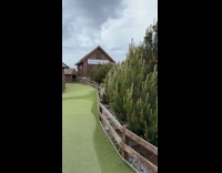 Woman flipping off on trees