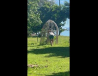 Man dances inside the plant wooden cage