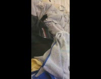 Owner shows dog that is burrowed under a pile of warm fresh laundry 