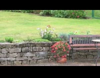 Two squirrels play run around the garden