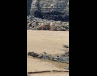 Two girls bikini kick and punch beach