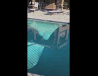 Guy throws rock in pool glitch illusion 