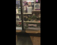 Rat crawls inside kitchen store 