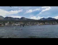 Whales swim above water at beach windy