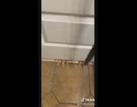 Girl hands under door guy restroom