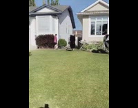 Guy slides across grass blue board fail 