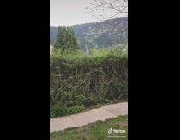 Aunts babysit kid and forget boy