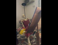 Cat prefers to lay on skeleton than owner