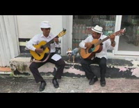 Dog influencer poses for photo pt. 2