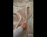 Small brown dachshund puppy stuffed cow toy 