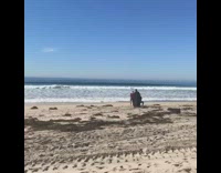 Guy black cape darthvader surf sand beach