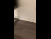 Girl summons cats using food and treats 