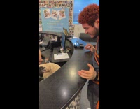 Small black dog angry and friendly